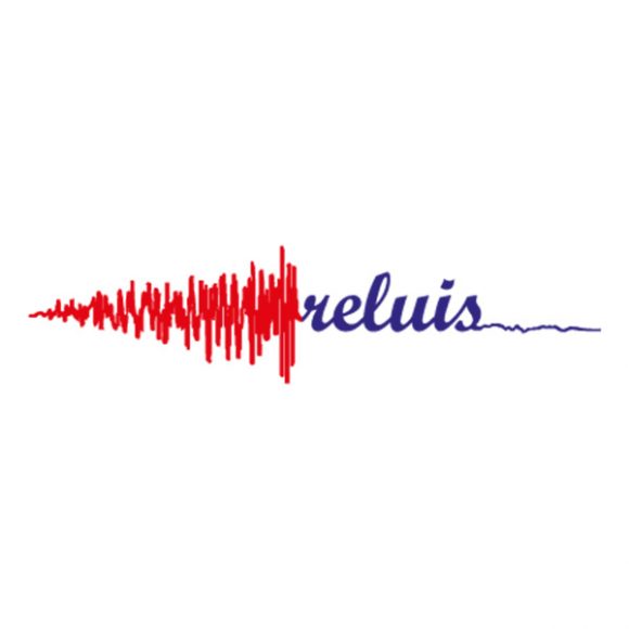 ReLUIS Consorzio ReLUiS